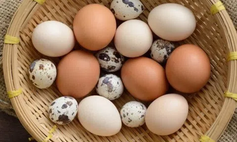 Loại trứng quý như nhân sâm giúp bé thông minh, dinh dưỡng cao gấp 4 lần trứng gà, giá chỉ 500 đồng/quả