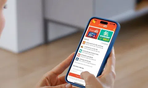 Trải nghiệm của người dùng sau một tháng đăng ký ShopeeVIP