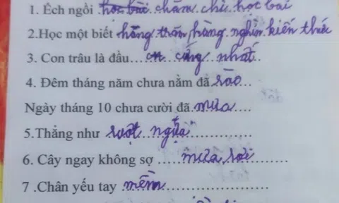 Bài tập tiếng Việt gây xôn xao cõi mạng vì loạt đáp án "có một không hai" của học sinh tiểu học
