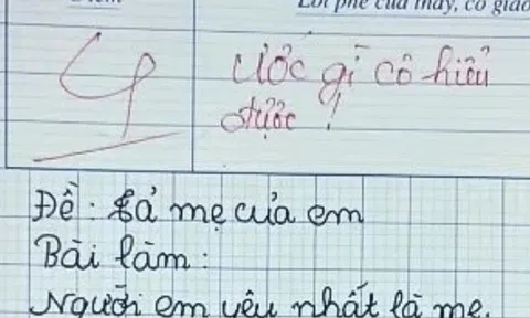 Viết văn tả về người mẹ “không có thật”, cậu bé lớp 2 bị cô giáo chấm 4 điểm