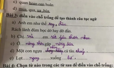 Bài tập tiếng Việt về loạt thành ngữ, tục ngữ của học sinh tiểu học gây bão, đáp án sai nhưng lại rất thuyết phục