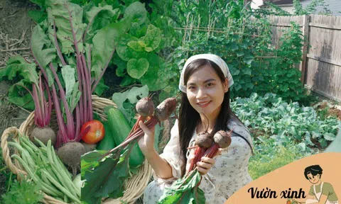 Mẹ đảm mát tay làm vườn ở Mỹ, phải xách cả cuốc từ Việt Nam sang, rau nào cũng xanh tươi tốt