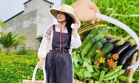 Đôi vợ chồng bỏ phố về quê xây nông trại 3.000m2 trồng rau nuôi yến, chỉ 30 triệu cải tạo đất và kết quả đẹp như tranh