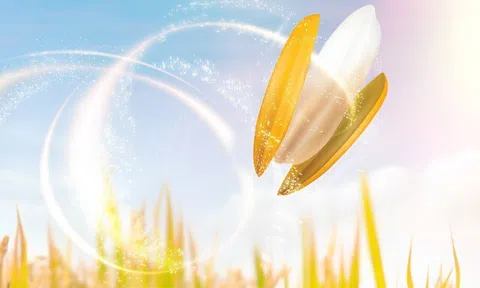 Lợi thế giúp người Việt dễ tiếp cận “món quà” cho tim mạch