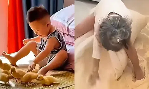 Cười chảy nước mắt với loạt kiếp nạn của "khối nghỉ hưu" khi đón "khối nghỉ hè" về quê nghỉ Lễ