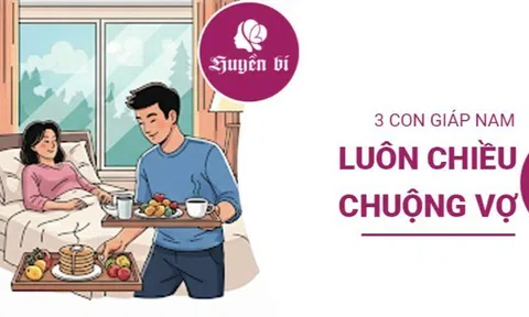 Điểm mặt 3 con giáp nam có "số" trở thành người chồng quốc dân