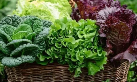 Rau sống người Việt thích mê nhưng dễ là “ổ chứa ký sinh trùng”, ăn thế nào mới an toàn, tốt cho sức khỏe?