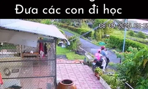 Nhật ký 1 ngày của "khối phụ huynh" khi các búp măng non đi học trở lại khiến dân tình cười mếu: "Thua tài xế công nghệ mỗi cái áo xanh"