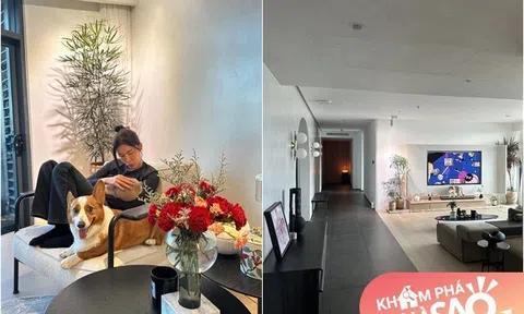 Hé lộ căn nhà Hoa hậu Minh Tú đang sống cùng chồng Tây và 2 nhân vật đặc biệt, góc nào cũng gọn đẹp