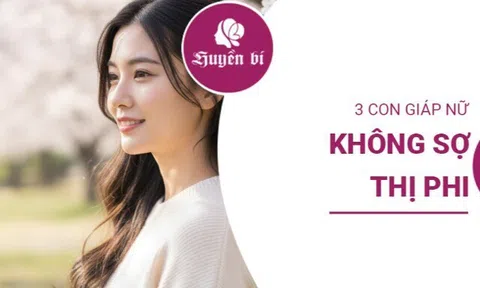 3 Nàng giáp nào có "bản lĩnh thép", bất chấp thị phi?