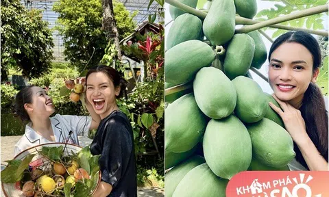 Nữ NSND trẻ nhất Việt Nam sở hữu "biệt phủ" 8.000m2: Sống thảnh thơi trong khu vườn xinh đẹp, trái chín đầy vườn