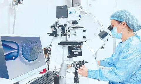 Lab phôi học thụ tinh ống nghiệm của Việt Nam được vinh danh Kỷ lục châu Á