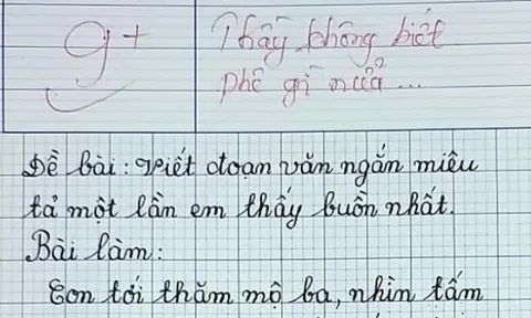 Bài văn vỏn vẹn 4 câu viết về bố nhận điểm 9, lời phê của thầy giáo dành cho bé học sinh gây xúc động