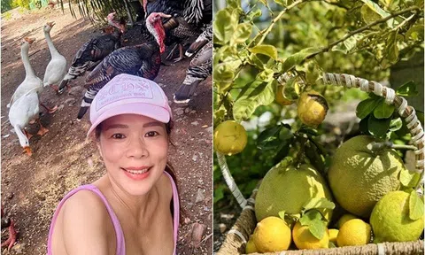 "Phú bà" showbiz Việt khoe nông sản đã mắt trong khu vườn 10.000m2, có giống gà hàng triệu đồng/con