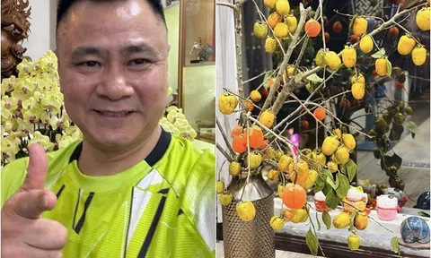 Không chỉ ngon, loại quả mùa thu mang ý nghĩa no đủ được nhà NSND Tự Long, MC VTV mang về trưng đẹp mắt