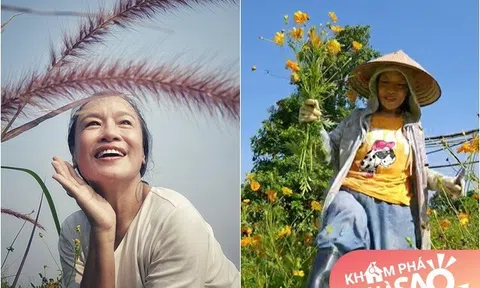 "Mẹ Phương Oanh" Hương vị tình thân vui thú trong khu vườn tuyệt đẹp ở ngoại ô, có loài cỏ như ở Đà Lạt