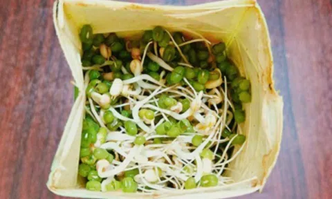 Loại rau trồng không cần đất, lớn siêu nhanh không cần thuốc, 2 ngày là được ăn, giàu canxi giúp trẻ cao lớn