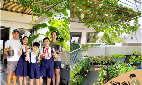 Ông bố 3 con Sài Gòn là kỹ sư IT, trồng rau sân thượng từ nhà đến công ty, mảnh vườn nào cũng xanh tốt