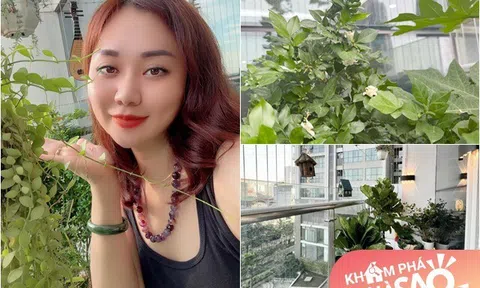 Vợ Đại úy của NSND Tự Long khoe khu vườn trên cao ngày mưa bão vẫn "tươi xanh, thơm ngát như chủ nhà"