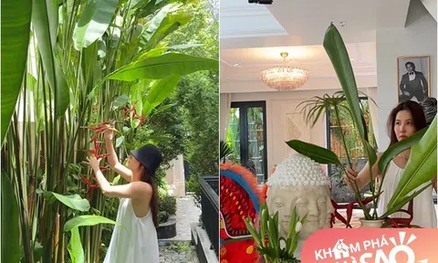 Bên trong biệt thự Diễm My 9x được bố mẹ chồng đại gia tặng, góc nào cũng đẹp nên thơ