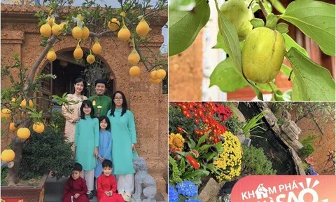 Biệt phủ của danh hài Vượng Râu cây trái sai lúc lỉu làm bao người thích thú, dự đoán thu tới 2 tạ hồng