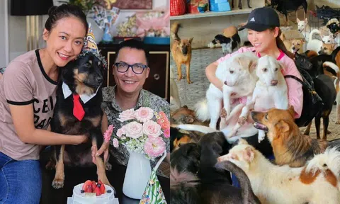 2 sao nữ Vbiz cưu mang chó mèo hoang: Người xây trang trại 1000m2 làm nơi ở, người mang đầy vết thương 