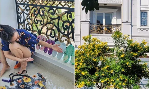 Nữ ca sĩ ở biệt thự 20 tỷ đồng nhưng không biết lái xe: Đi xe đạp bị tông, về nhà mấy giúp việc "rầy"