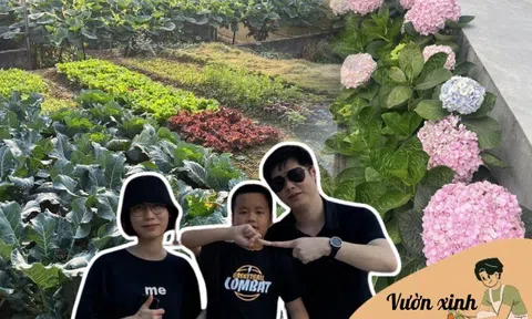 Mẹ đảm Vĩnh Phúc chia sẻ 3 yếu tố giúp mảnh vườn 500m2 ngập tràn rau trái quanh năm
