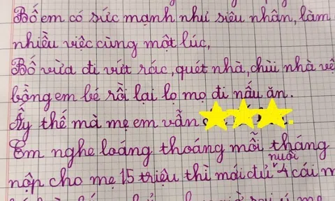 Bé tiểu học viết văn tả bố, tiết lộ chuyện mỗi tháng nộp cho mẹ 15 triệu và cái kết không thể ngờ
