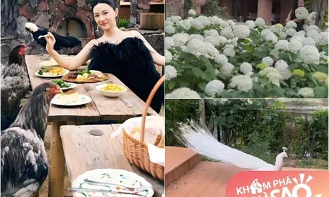 Khu vườn như "sở thú mini" trong biệt thự rộng 3.000m2 của nữ diễn viên có nhan sắc vạn người mê