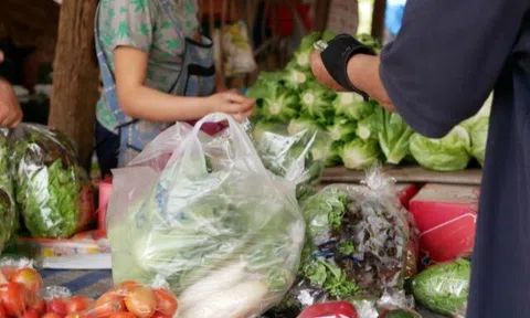 8 loại rau được đánh giá tốt nhất thế giới, chợ Việt bán chỉ vài chục nghìn/kg, có loại đạt 100 điểm dinh dưỡng cho trẻ