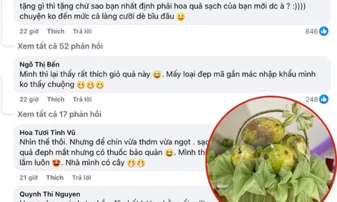 Giỏ hoa quả một phụ huynh tặng cho giáo viên lớp con nhân dịp 20/11 gây tranh cãi