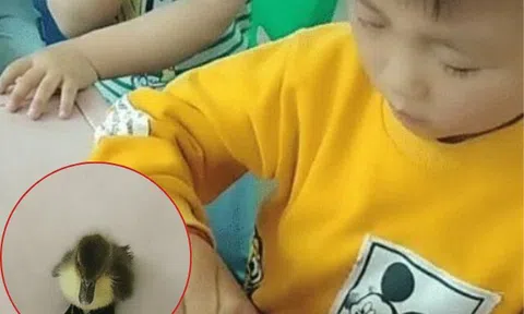 Lén bố mẹ mang quà đến trường mẫu giáo tặng cô, cậu học sinh vừa mở cặp sách đã khiến cả lớp cười xỉu