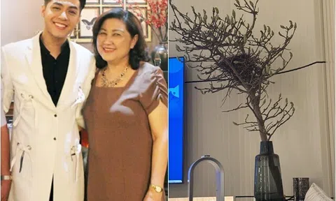 Mẹ ruột Noo Phước Thịnh thuộc hệ thích chơi hoa nhưng bê cả tổ chim về làm quý tử "choáng váng"
