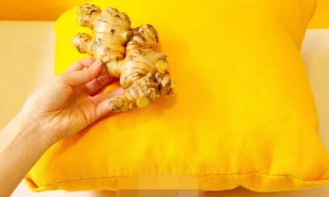 Nhiều người đặt một củ gừng dưới gối mỗi tối trước khi đi ngủ, không ngờ hiệu quả lại tuyệt vời đến vậy