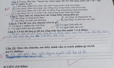Bài kiểm tra tiếng Việt của học sinh tiểu học khiến giáo viên không thể cho điểm, 4 chữ viết về mẹ đầy xót xa