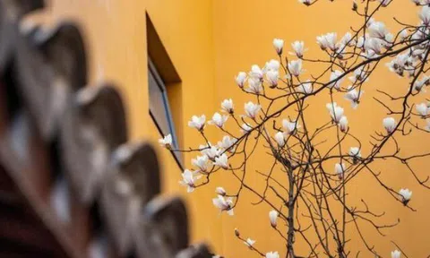 Muốn thay đổi vận mệnh, người khôn ngoan nắm bắt tốt 3 giai đoạn quan trọng này