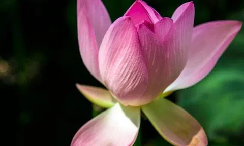 2 kiểu hàng xóm chớ giao du, 3 kiểu họ hàng chớ gần gũi