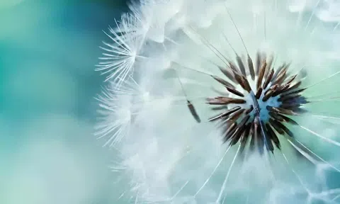 "Mất đi" 3 điều này là điềm báo bạn chuẩn bị đón đại vận, hoàn toàn không mê tín