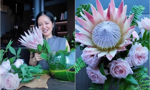 Diva Hồng Nhung cắm loài hoa "khổng lồ" lạ mắt, mang ý nghĩa kiên cường không khuất phục