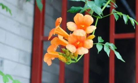 Học cách nói 2 chữ này, cuộc đời sẽ ngày càng suôn sẻ, gặp gỡ những điều tốt đẹp