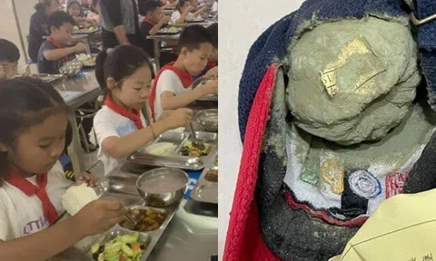 Con luôn khen cơm trưa ở trường ngon lắm, mẹ lục cặp sách thấy vật lạ bốc mùi mốc xanh