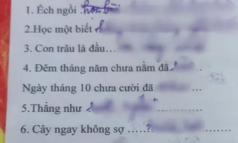Bài tập tiếng Việt điền thành ngữ “con trâu là đầu…”, “Cây ngay không sợ…” của học sinh cấp 1 khiến CĐM trầm trồ