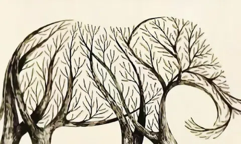 Trắc nghiệm tâm lý: Khi nào bạn sẽ gặp được quý nhân dẫn đường chỉ lối?