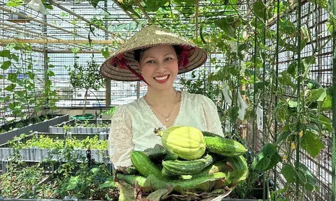 Mẹ đảm Hưng Yên mạnh tay chi 70 triệu làm vườn trên sân thượng: Rau xanh ngập lối, quả đủ loại đủ màu