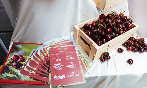 Cherry Úc khởi động mùa vụ 2024/25 với hành trình đưa Cherry tươi từ Úc đến Việt Nam chỉ trong 72 giờ