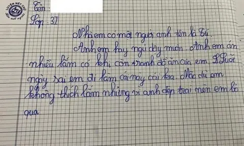 Bé lớp 3 viết văn tả anh trai khiến phụ huynh đọc mà nóng mặt, đoạn kết gây bất ngờ nhất