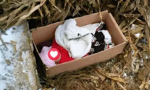 Vừa nhìn thấy đứa con mới sinh, bố mẹ lập tức từ chối, 22 năm sau cả nhà hối hận