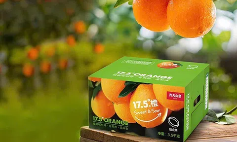 Cam 17.5° Nongfu Spring nổi tiếng tại Trung Quốc sắp về Việt Nam