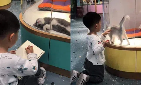 Cô giáo giao bài tập về nhà vẽ tranh thú cưng, tác phẩm của cậu học sinh khiến giáo viên hoang mang, khó chấm điểm